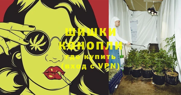 спиды Аркадак